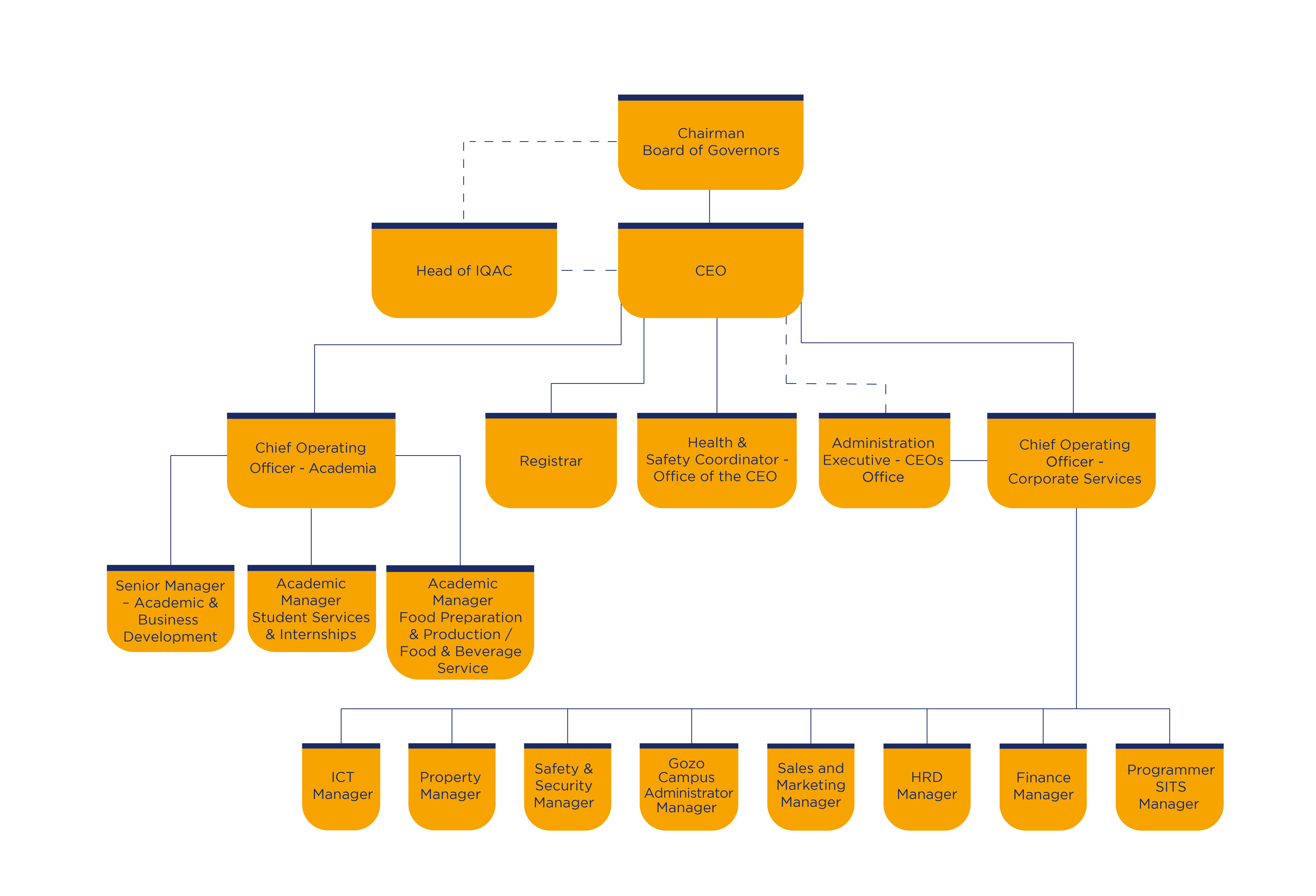 Organisation Chart